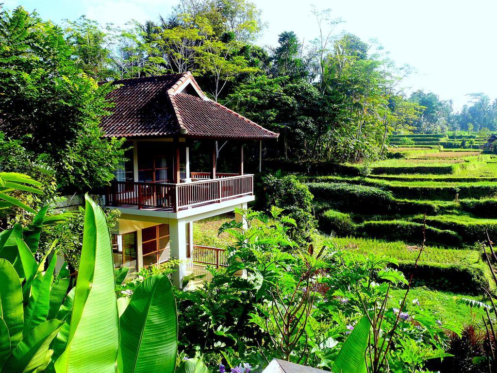 Villa Viola Ubud  Exterior photo