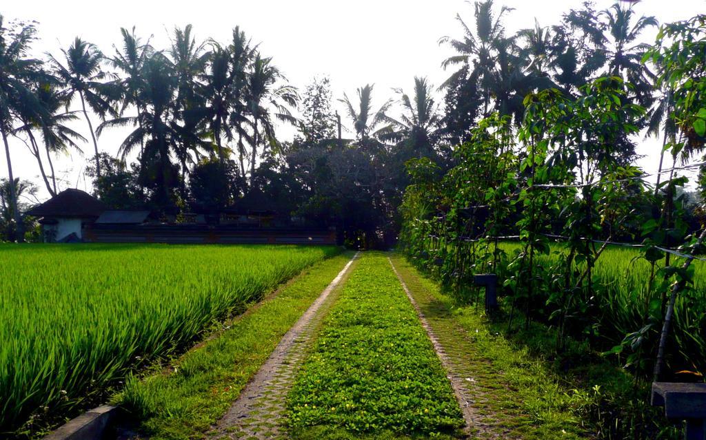 Villa Viola Ubud  Exterior photo