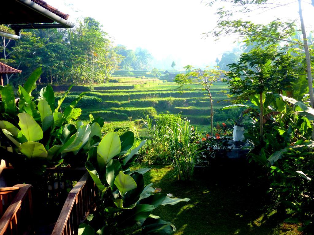 Villa Viola Ubud  Exterior photo