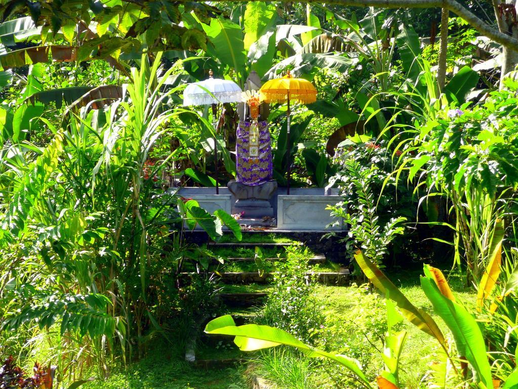 Villa Viola Ubud  Exterior photo