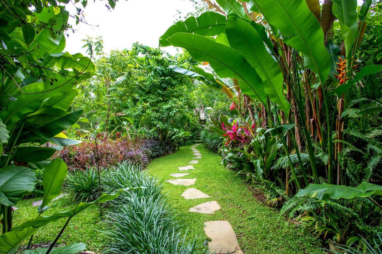 Villa Viola Ubud  Exterior photo
